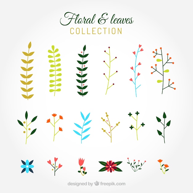 Colección de flores y hojas de colores