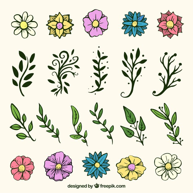 Colección de flores y hojas dibujadas a mano 