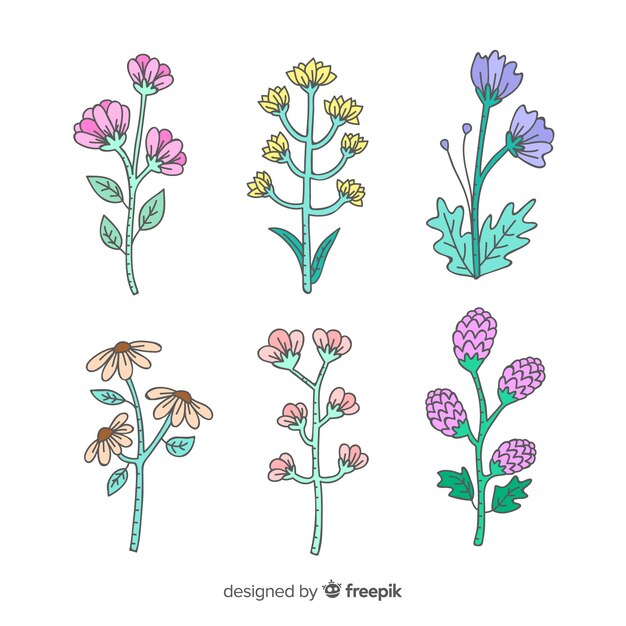 Colección flores y hojas dibujadas a mano
