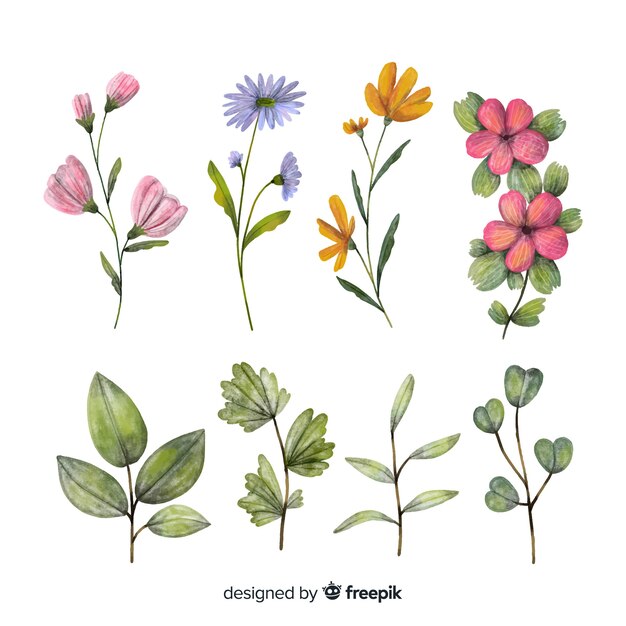 Colección flores y hojas dibujadas a mano