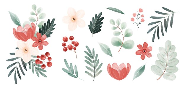 Colección de flores y hojas navideñas en acuarela