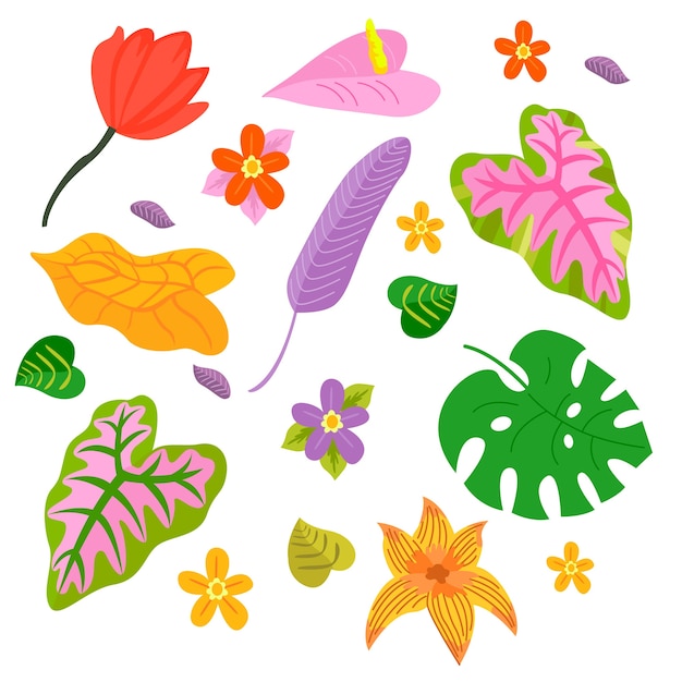 Colección de flores y hojas tropicales