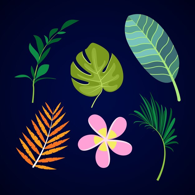 Colección de flores y hojas tropicales