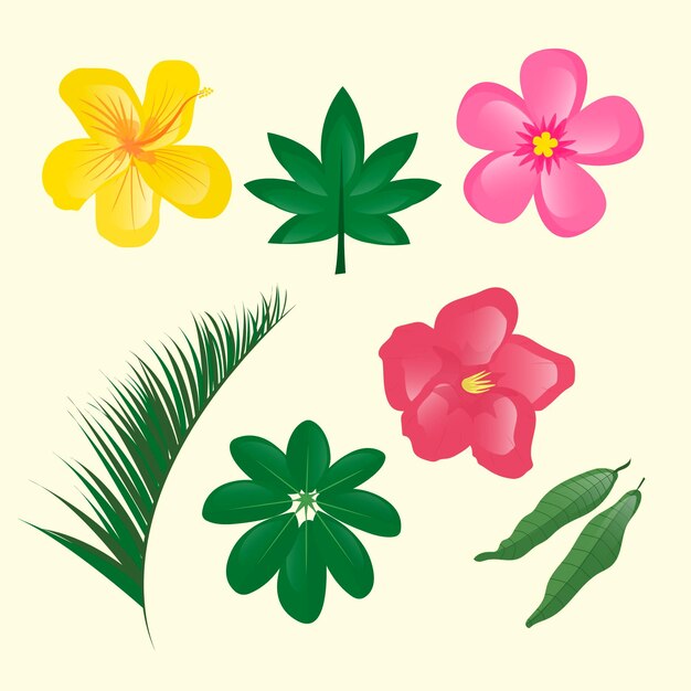 Colección de flores y hojas tropicales