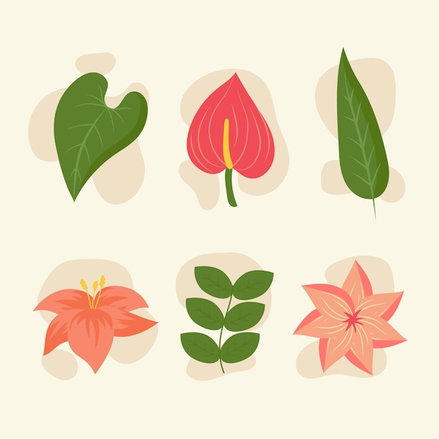 Vector gratuito colección de flores y hojas tropicales