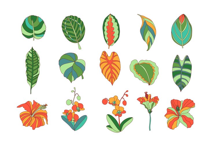Vector gratuito colección de flores y hojas tropicales