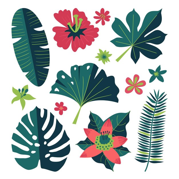 Colección de flores y hojas tropicales.
