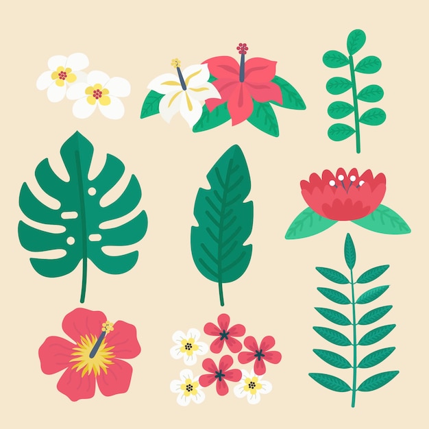 Colección de flores y hojas tropicales