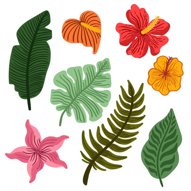 Colección de flores y hojas tropicales