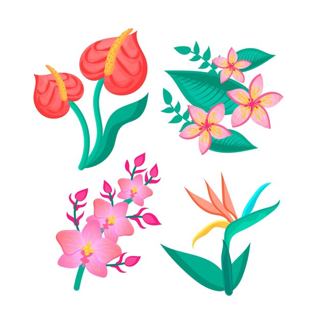 Colección de flores y hojas tropicales