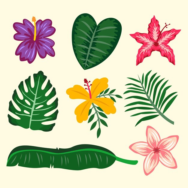 Colección de flores y hojas tropicales