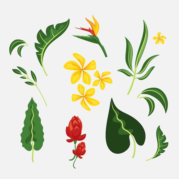 Vector gratuito colección de flores y hojas tropicales