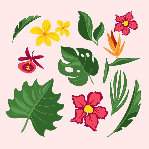 Colección de flores y hojas tropicales