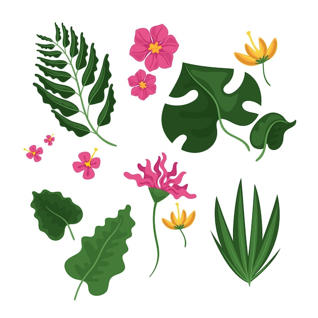 Vector gratuito colección de flores y hojas tropicales