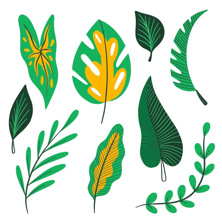 Vector gratuito colección de flores y hojas tropicales