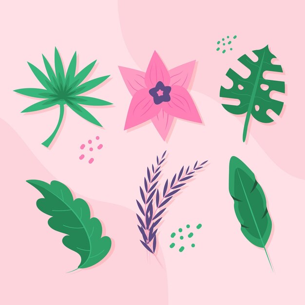 Colección de flores y hojas tropicales