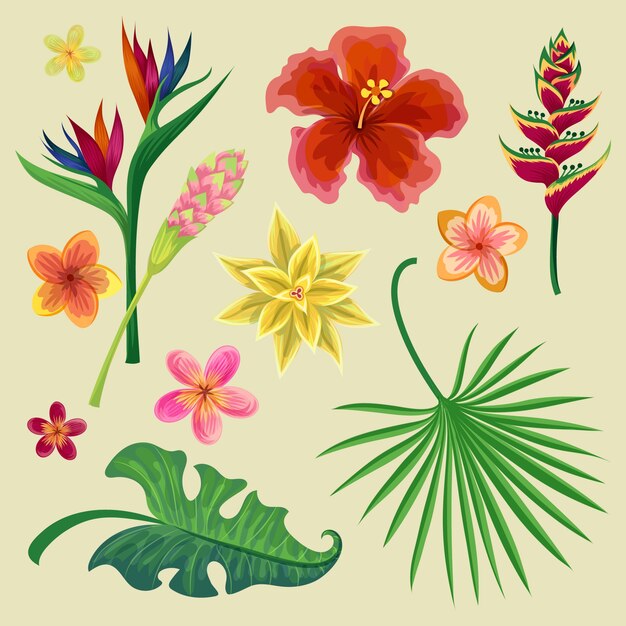 Colección de flores y hojas tropicales