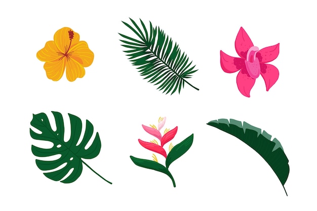 Vector gratuito colección de flores y hojas tropicales