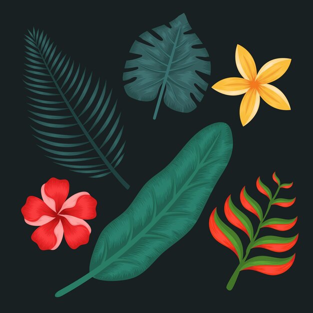 Colección de flores y hojas tropicales