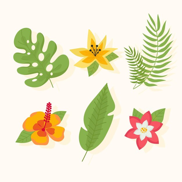 Colección de flores y hojas tropicales