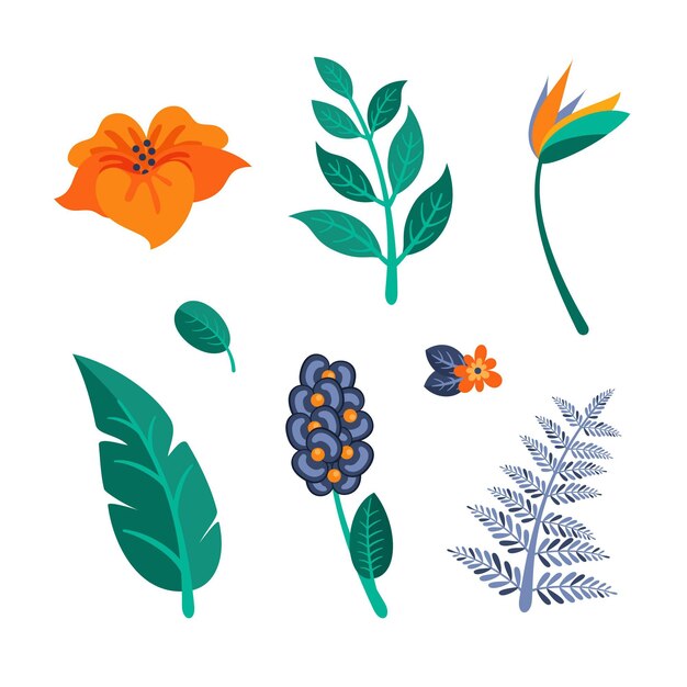Colección de flores y hojas tropicales