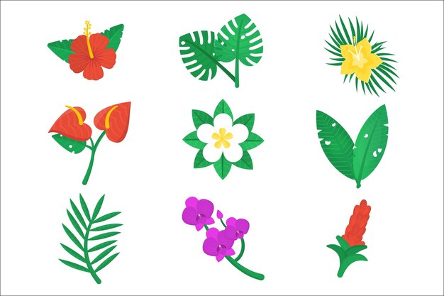 Colección de flores y hojas tropicales