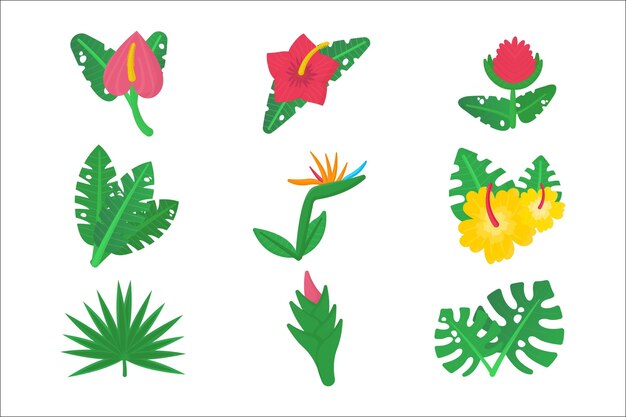 Colección de flores y hojas tropicales