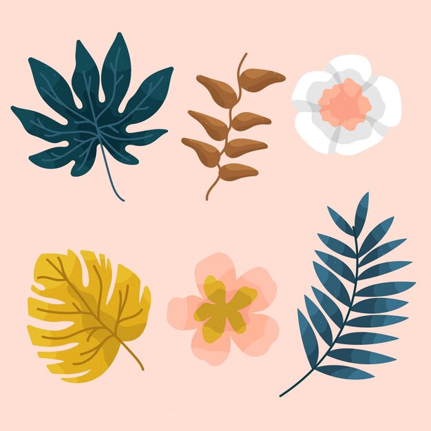 Colección de flores y hojas tropicales