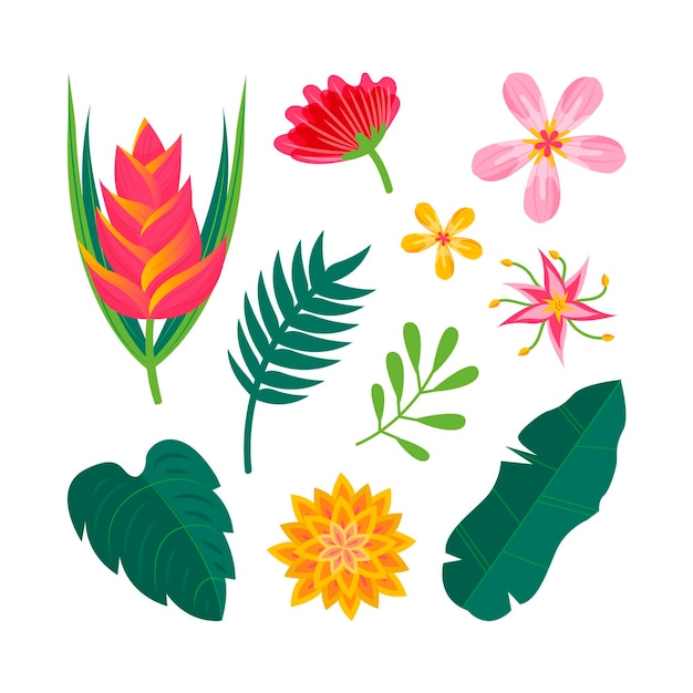 Vector gratuito colección de flores y hojas tropicales