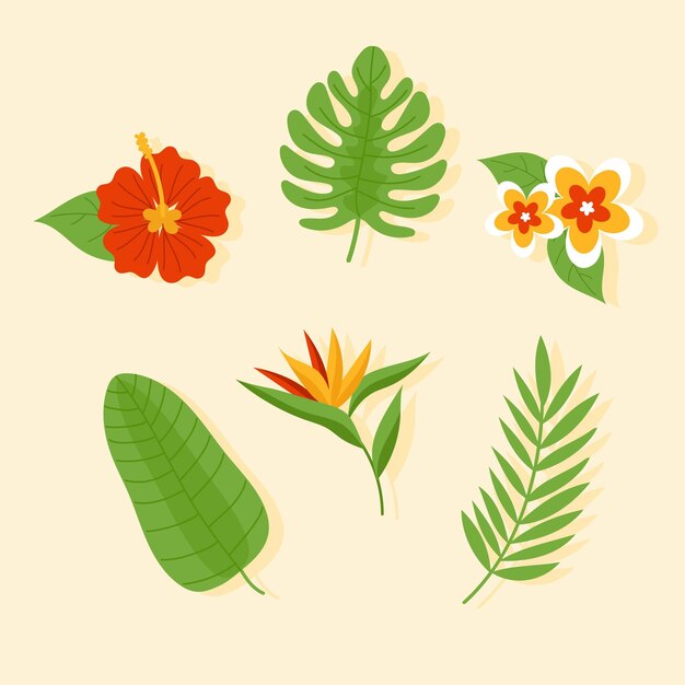 Colección de flores y hojas tropicales