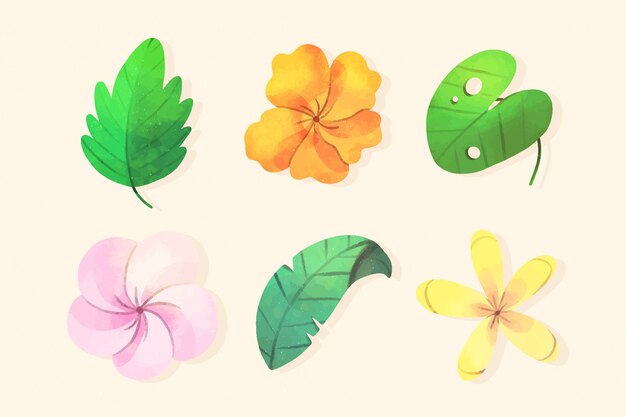 Colección de flores y hojas tropicales