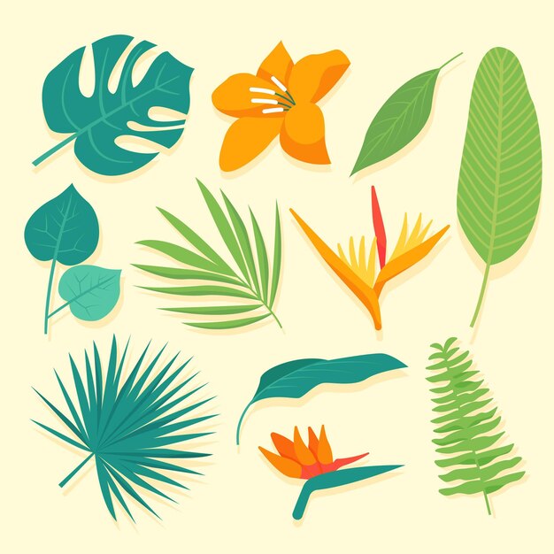 Colección de flores y hojas tropicales