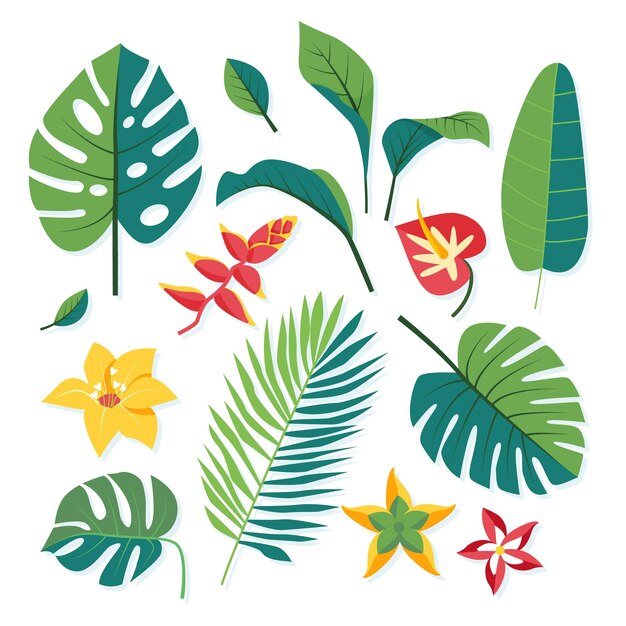 Colección de flores y hojas tropicales
