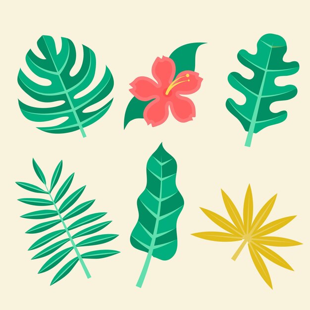 Colección de flores y hojas tropicales