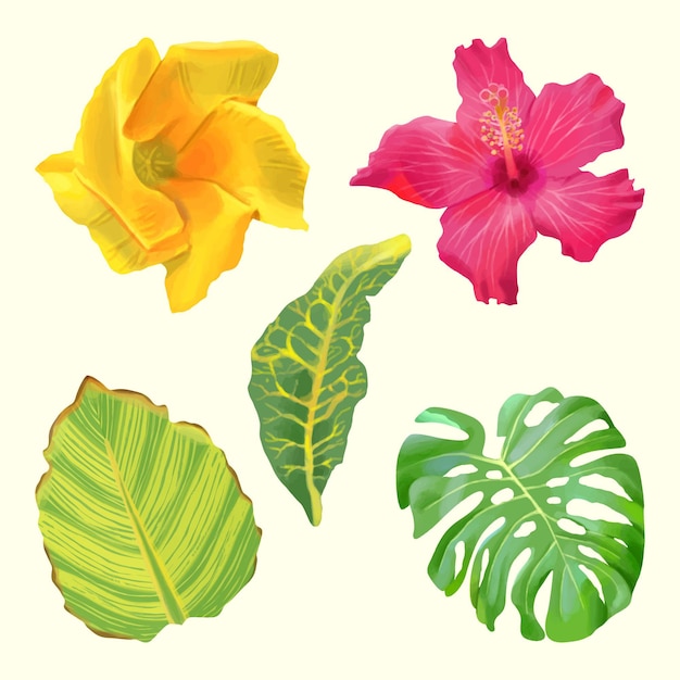 Vector gratuito colección de flores y hojas tropicales