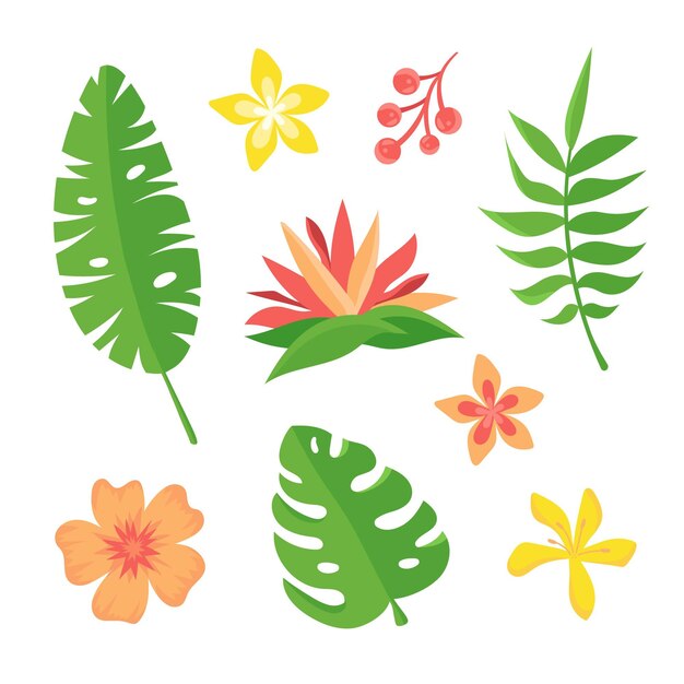 Colección de flores y hojas tropicales
