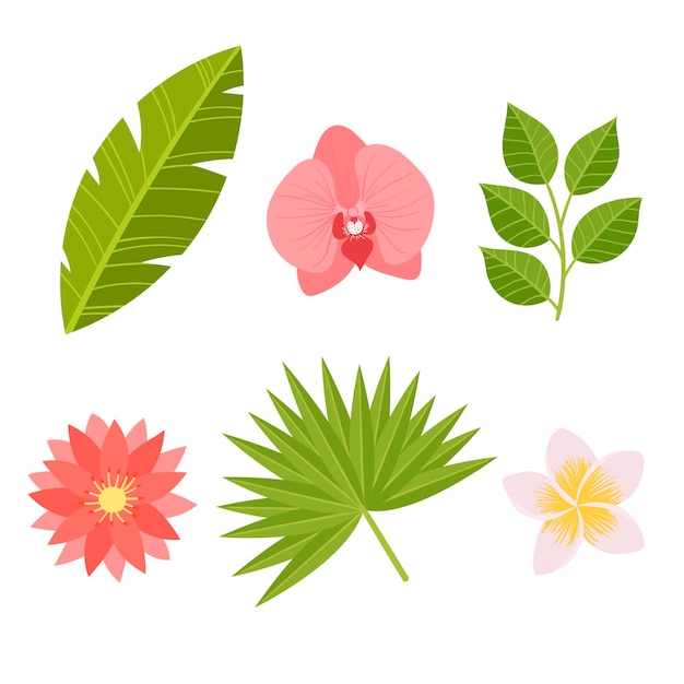 Vector gratuito colección de flores y hojas tropicales