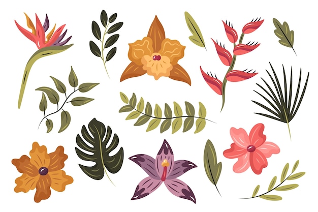 Vector gratuito colección de flores y hojas tropicales