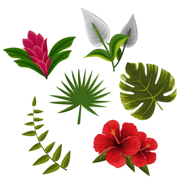 Colección de flores y hojas tropicales
