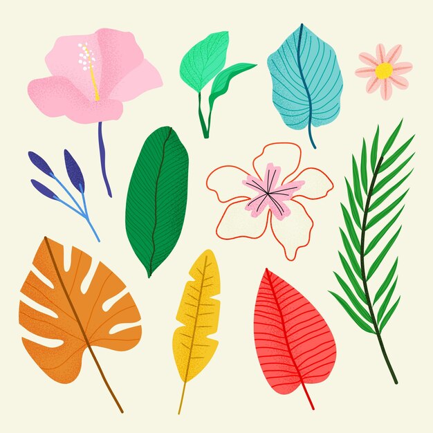 Colección de flores y hojas tropicales