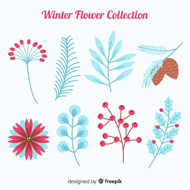 Colección flores inviernales bonitas