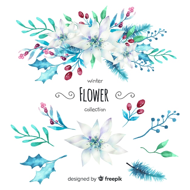 Vector gratuito colección de flores de invierno en acuarela