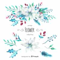 Vector gratuito colección de flores de invierno en acuarela