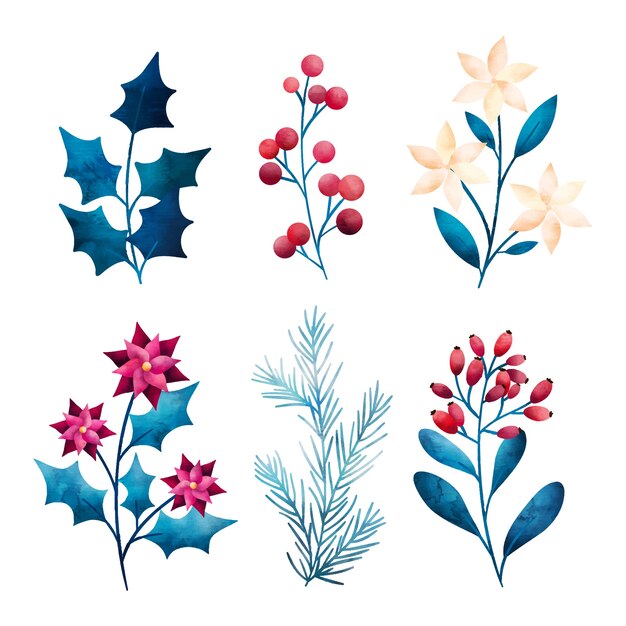 Colección de flores de invierno en acuarela