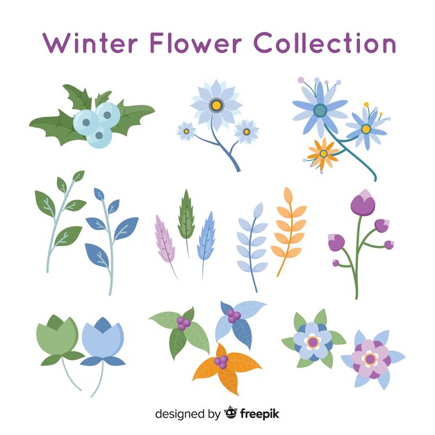 Colección flores invierno bonitas