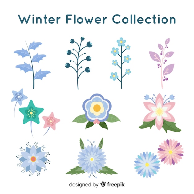 Colección flores invierno bonitas