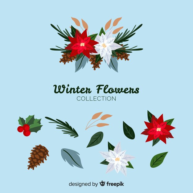 Colección flores invierno bonitas