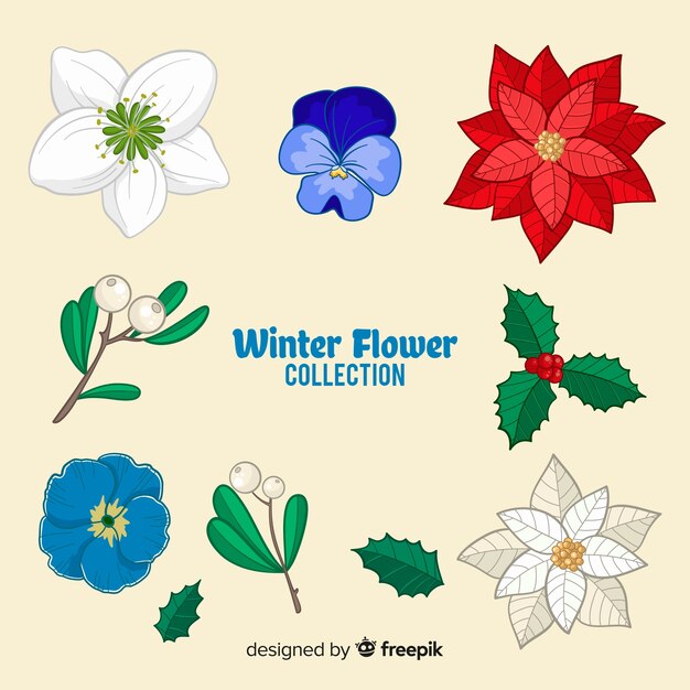 Colección de flores de invierno dibujada a mano