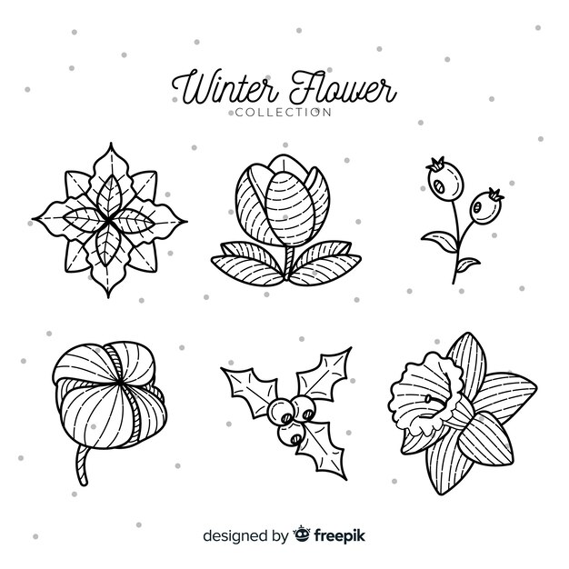 Colección de flores de invierno dibujada a mano
