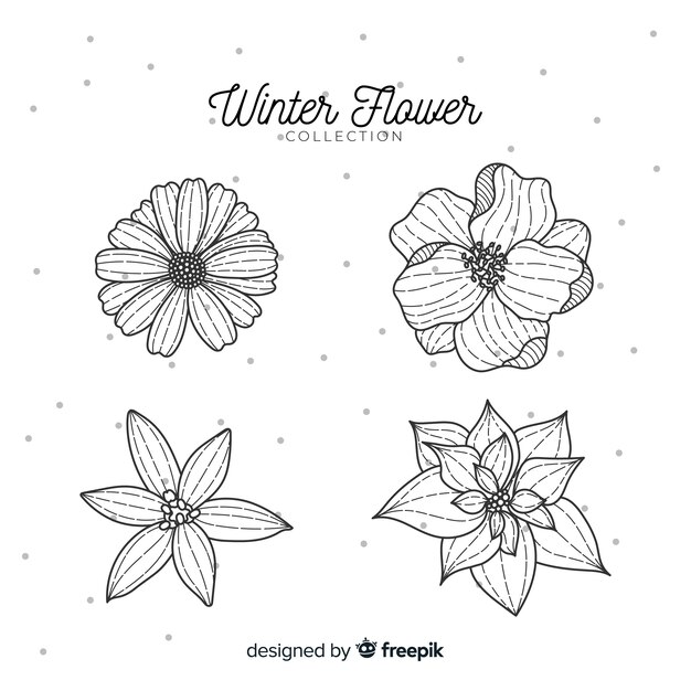 Colección de flores de invierno dibujada a mano